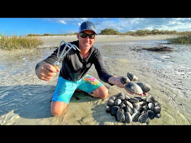 Foraging for Clams and Oysters Florida Style (Catch & Cook)