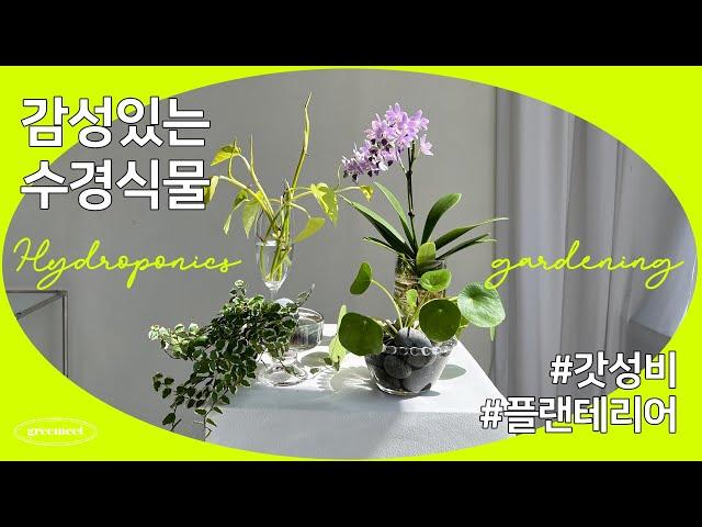 Korean Flower House Pretty Plant Interior Props Making 수Hydro Plant Recommendation