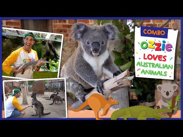 Unique Australian Animals For Kids | Educational Video With Ozzie