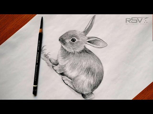 How to draw a rabbit ( bunny ) | pencil drawing | step by step | black and white