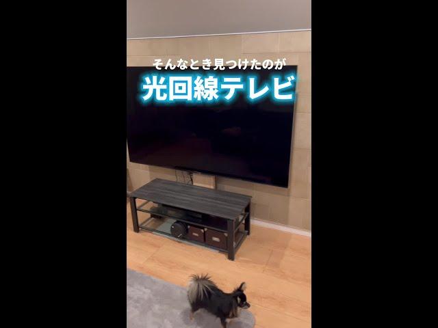 光回線テレビ＿アンテナ不要編