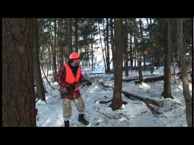 PCW5000 - Retrieving a large moose with this portable winch