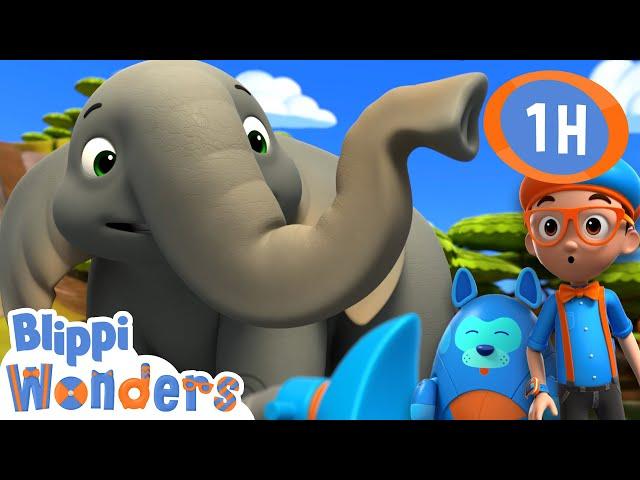  Blippi learns about Elephants | Animals for Kids | Animal Cartoons | Funny Cartoons