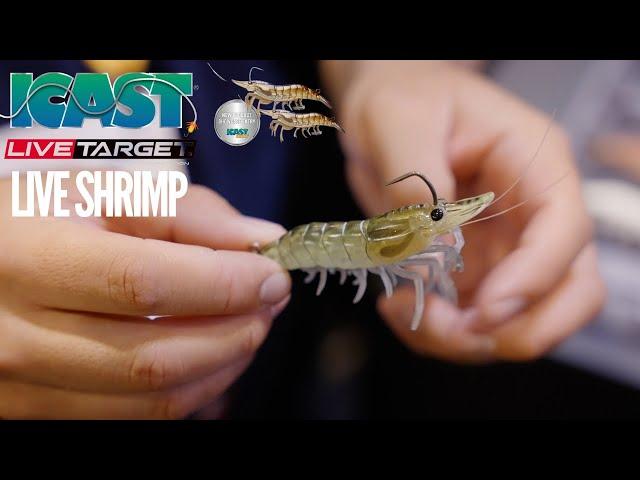 Live Target Live Shrimp product showcase ICAST 2022