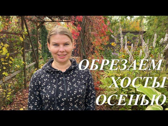 Обрезка хост осенью. Когда, как, чем и зачем обрезать хосты осенью