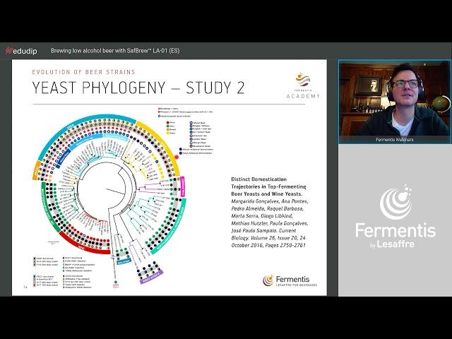 Brewing Low alcohol beer with SafBrew LA 01 x Pruul Meistrid- Fermentis webinar