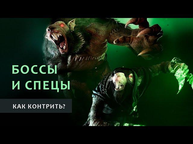 Warhammer Vermintide 2: Противодействие БОССАМ, Специальным врагам, Берсеркам | Актуальный гайд 2024