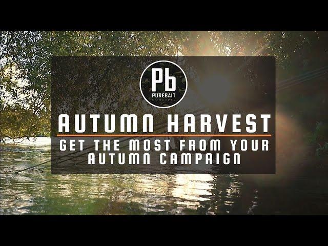 AUTUMN CARP FISHING ~ Tips and Tactics for Catching Carp in Autumn.