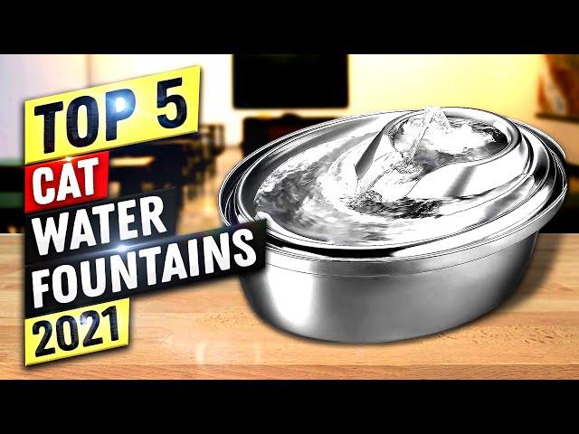 Best Cat Water Fountain 2022 | Top 5 Cat Water Fountains