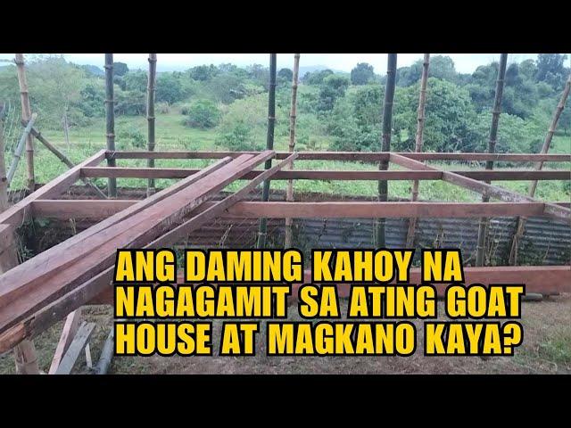 ANG DAMING KAHOY NA MAGAGAMIT SA ATING GOAT HOUSE AT MAGKANO KAYA?