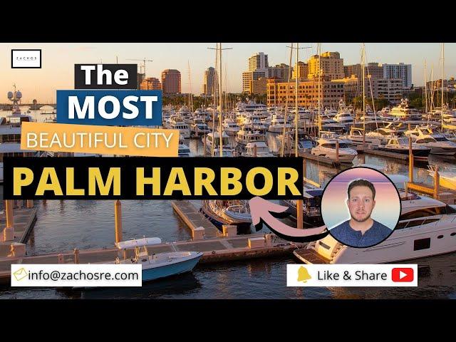 One of the BEST Place to live in FLORIDA | Palm Harbor, Florida