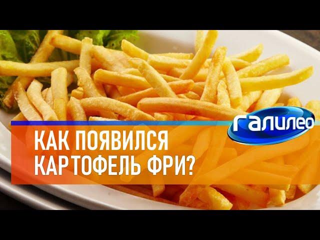 Галилео  Как появился картофель фри?