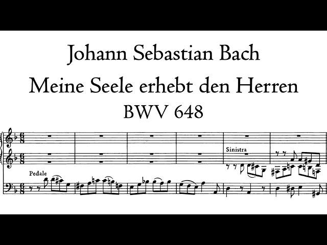 Bach - Meine Seele erhebt den Herren, BWV 648 (Schübler Choral 4) - Sonnenorgel, Goerlitz, Hauptwerk