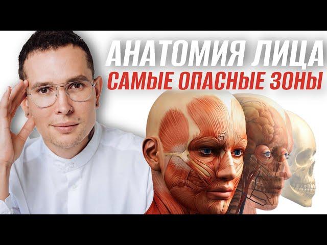 САМЫЕ ОПАСНЫЕ ЗОНЫ НА ЛИЦЕ | полное пособие по анатомии лица #анатомиялица