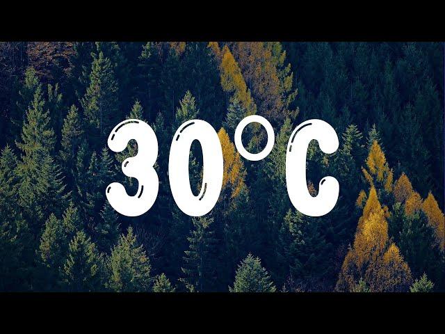 ANNA - 30ºC (Testo/Lyrics)