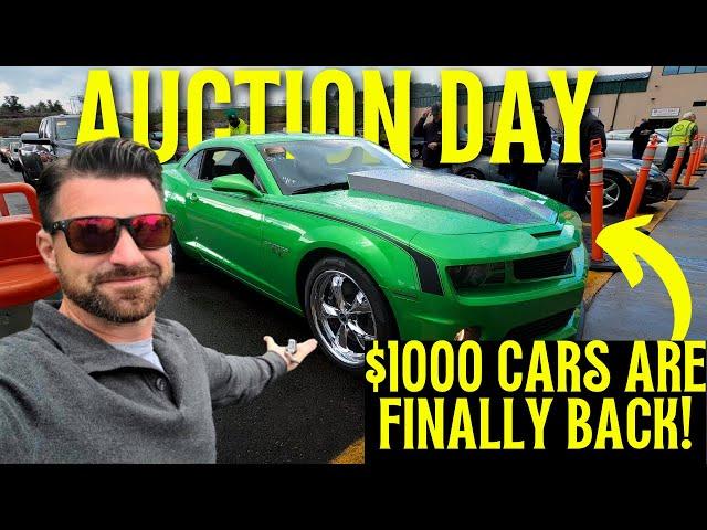 Can we buy a Clean Drive-able car for $1000 at a Dealer Auction ? - Flying Wheels