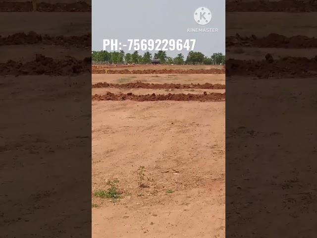open plots for sale at warangal Highway #hyderabad #viral #trending