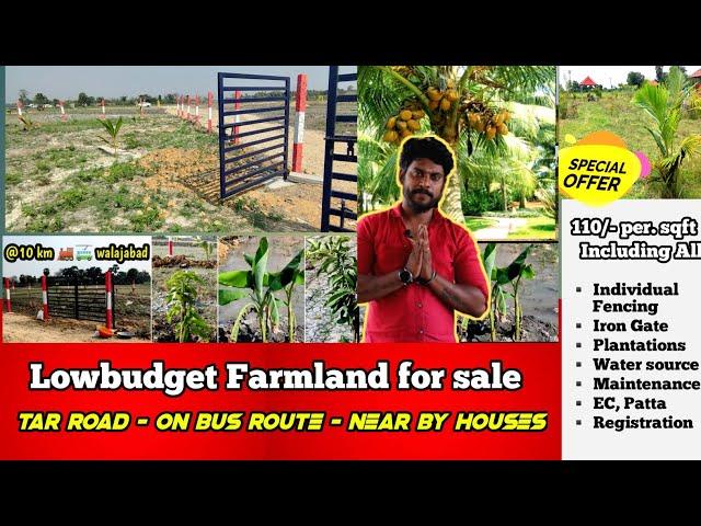 Low budget Farm land for sale | Farmland for sale in kanchipuram | Farmland sale | Agri land sale