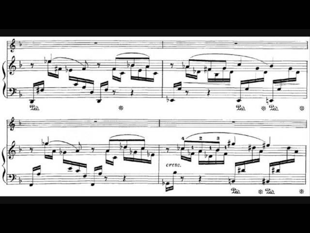 César Franck - Violin Sonata