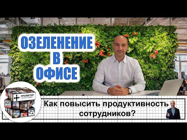 Как повысить продуктивность сотрудников - Озеленение в офисе