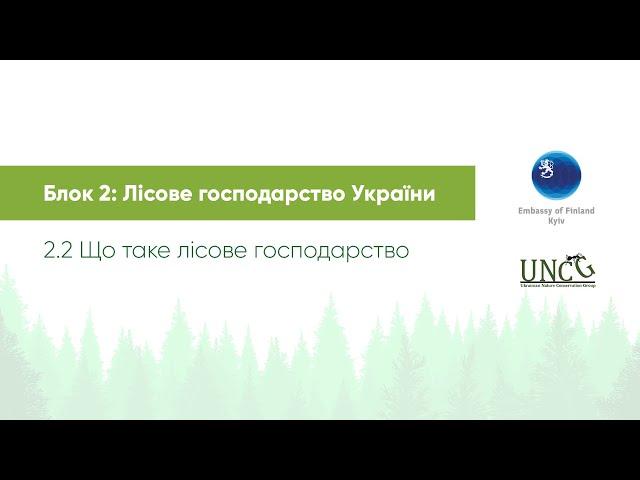 Лісовий курс. Блок 2. Відео 2.2 Що таке лісове господарство?