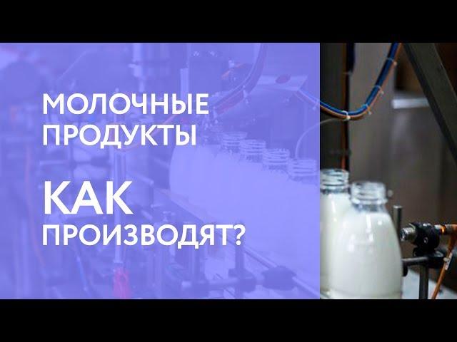 Как производят: Молочные продукты