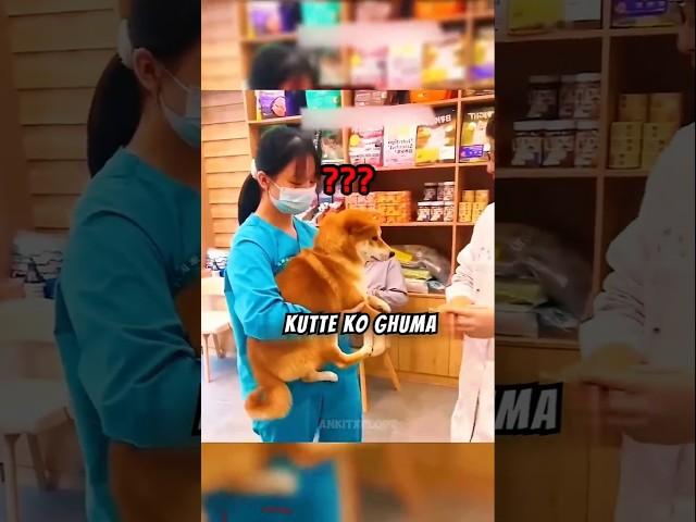 Routine Vet Visit Turns Into a Shocking Surprise