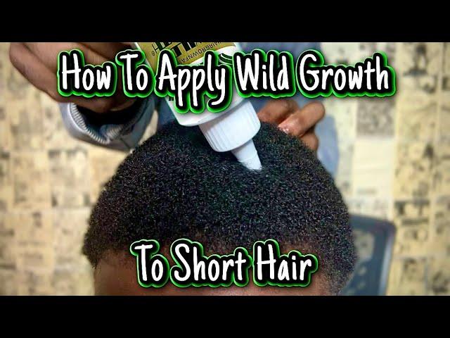 How to Apply Wild Growth Hair Oil to Short Hair For Massive Hair Growth