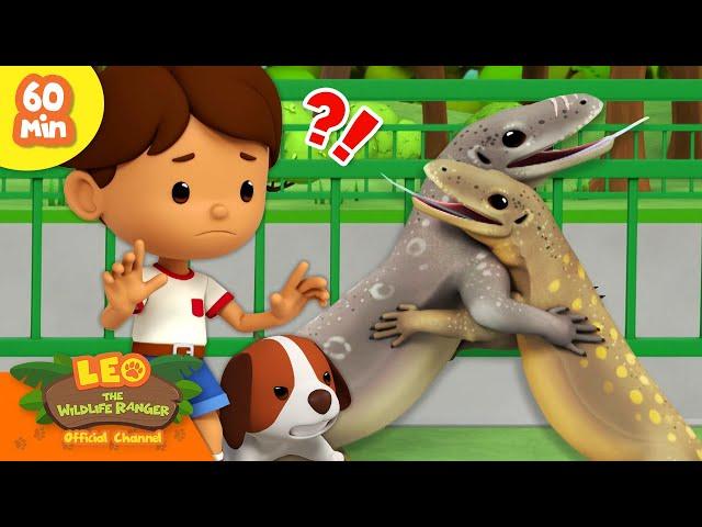  EXCITING ANIMAL FIGHTS!  Reptiles, Insects & more!  | Leo the Wildlife Ranger | Kids Cartoons