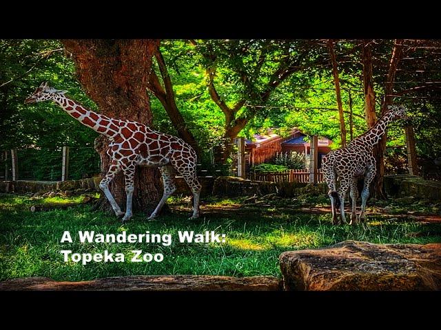 Topeka Zoo – Topeka, KS: Wandering Walks of Wonder Slow TV Walking Tour 4K