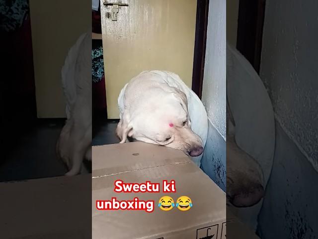 The Unboxing Revolution