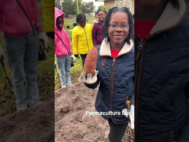 It was a good day! #gardening #andrethefarmer #communitygarden #mentorship #growyourownfood