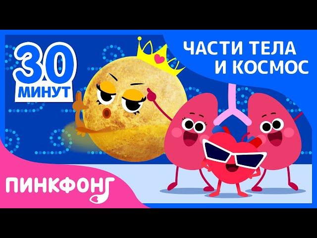 Учиться Вместе | Песни про Части Тела и Космос | +Сборник | Пинкфонг Песни для Детей