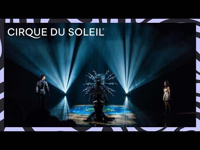 Harmony in Motion: The Art of Acrobatic Ensembles | Cirque du Soleil