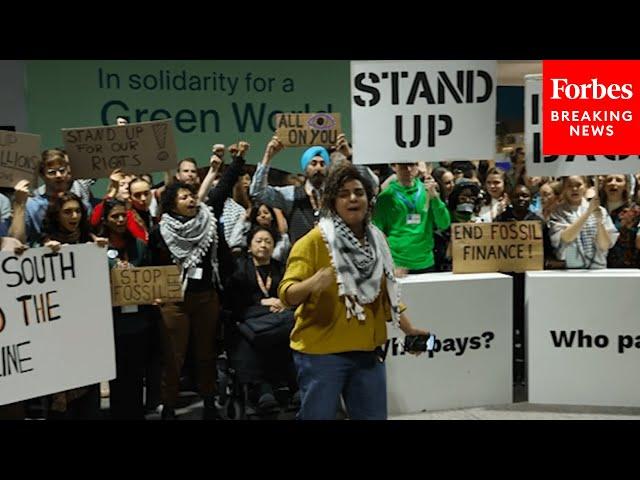 'Pay Up For Climate Finance': Protestors Gather At The UN COP29 Summit In Baku, Azerbaijan