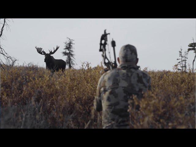 Every Year - Alaskan Archery Moose Hunt