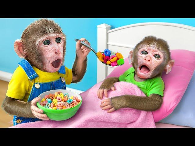 KiKi Monkey Take Care of sick baby like Doctor Check Up | KUDO ANIMAL KIKI