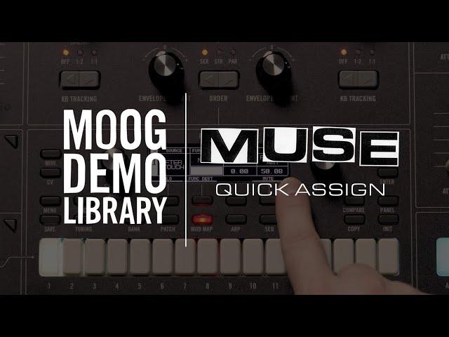 Muse | Quick Assign