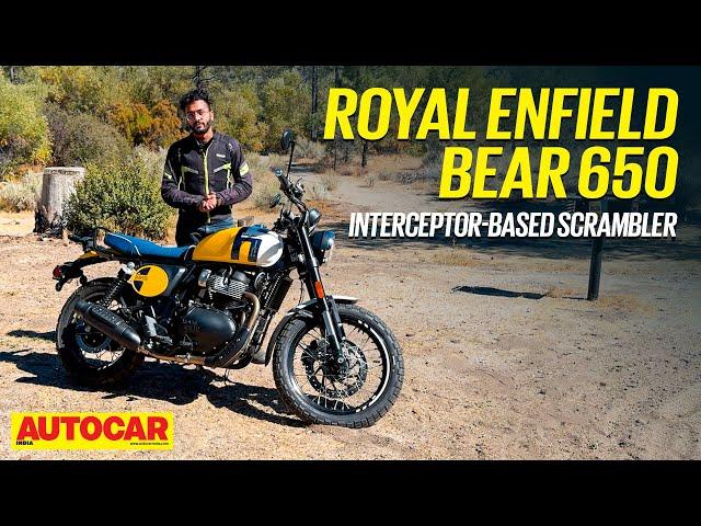 Royal Enfield Bear 650 - The Interceptor-based scrambler | Autocar India