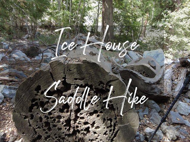 Ice House Canyon to Ice House Saddle Hike  07/29/2022