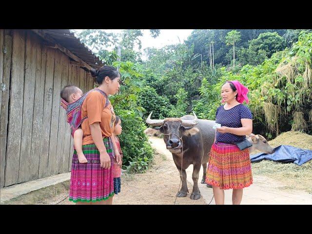 Single mother herds buffalo for hire to earn a living every day #lythilien