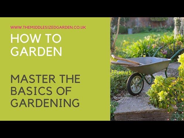 How to garden - what every beginner gardener needs to know....