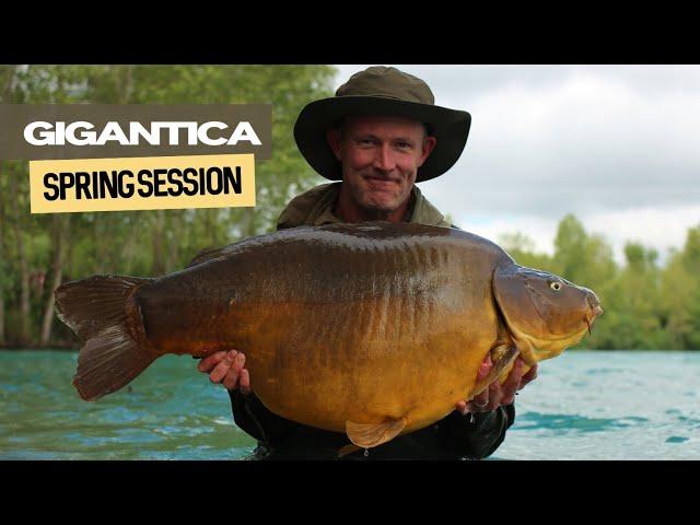 Gigantica Spring Session | Extract