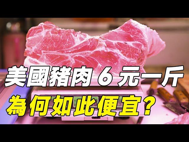 美國豬肉6塊一斤，是怎麽做到的？美國為什麽如此便宜？#美国猪肉#猪肉#养猪#养畜#科普