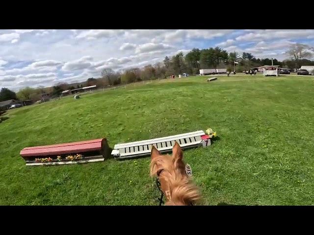 Making Waves & Tracey Woods | Horse Power Farm | May 2024 | Pre-Elementary & Elementary