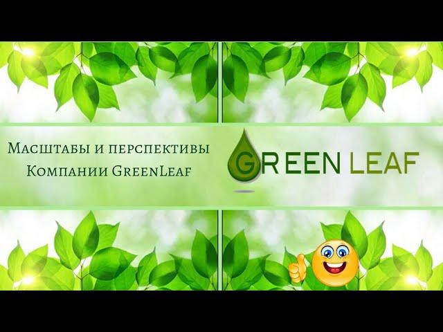 О компании Greenleaf Зеленый лист