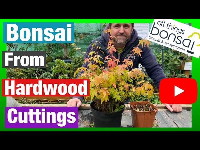 How To Take Hardwood Cuttings For Bonsai