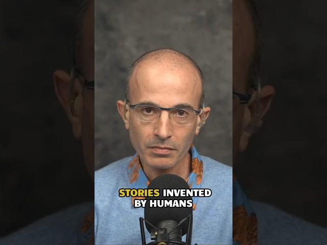 ‘Fairness’ VS Reality | Yuval Noah Harari & @adammgrant