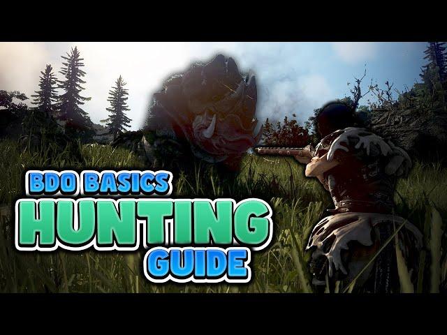 2024 Hunting Guide for Black Desert Online | BDO Basics