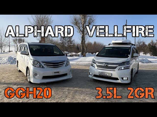 ALPHARD VS VELLFIRE! Альфард или Велфаер? Семейный минивен с гоночной душой!